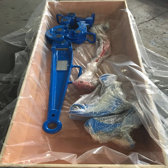 Workover Tong deliver